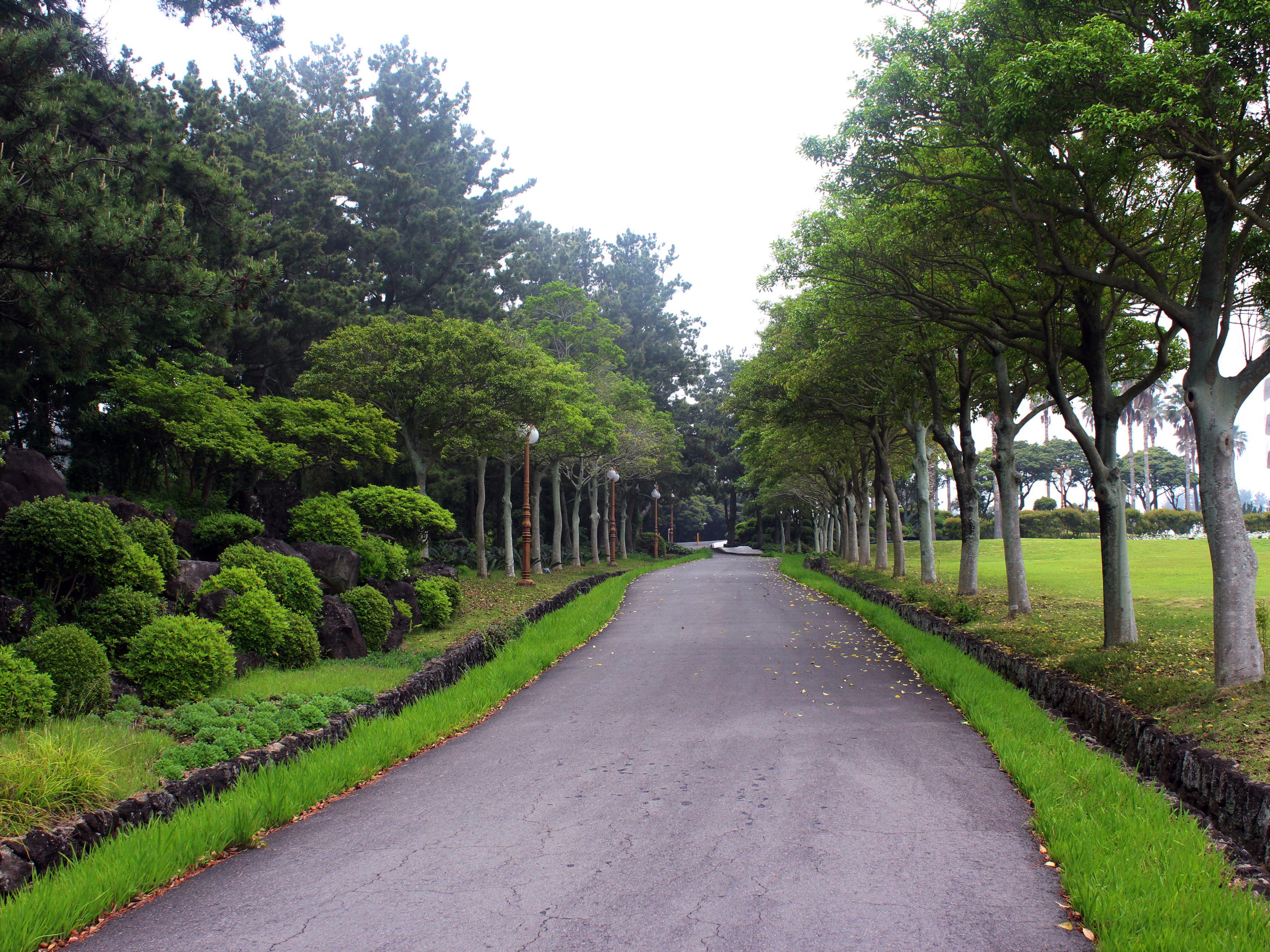 Seogwipo KAL Hotel Eksteriør billede Road through the park