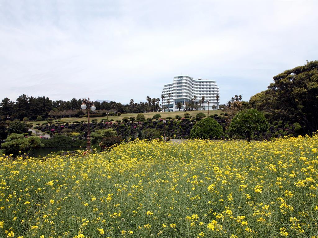 Seogwipo KAL Hotel Eksteriør billede View of the hotel from the park
