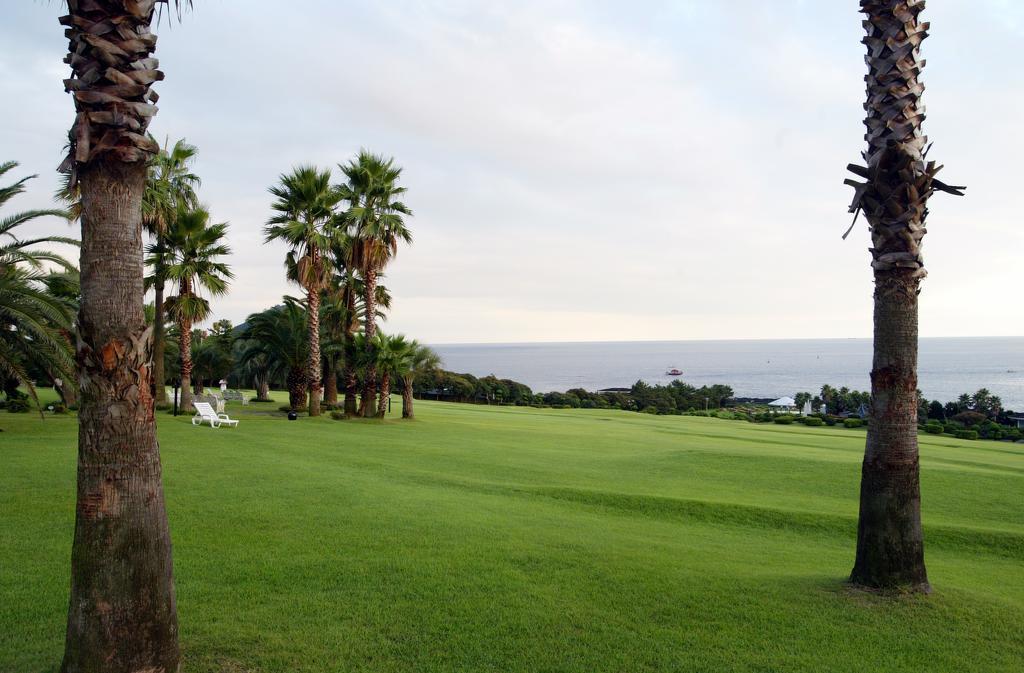 Seogwipo KAL Hotel Eksteriør billede Golf course in Okinawa