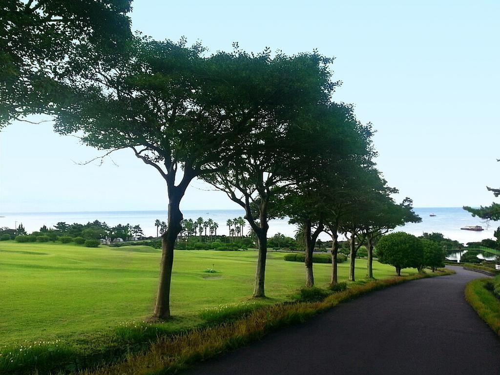 Seogwipo KAL Hotel Eksteriør billede A view of the golf course